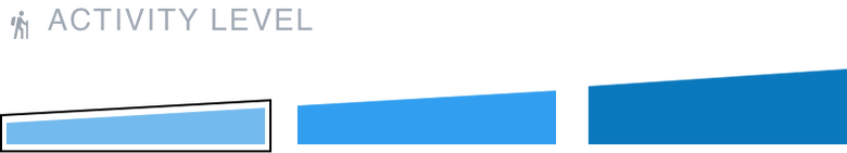 Activity Level 1