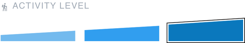 Activity Level 3